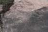 dsc_3694_fs_small.jpg