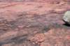 dsc_3699_fs_small.jpg