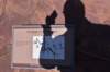 dsc_3700_fs_small.jpg