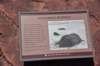 dsc_3778_fs_small.jpg