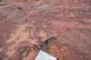 dsc_3780_fs_small.jpg