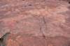 dsc_3782_fs_small.jpg