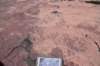 dsc_3787_fs_small.jpg
