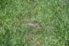 dsc_3790_fs_small.jpg