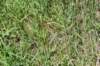 dsc_3792_fs_small.jpg