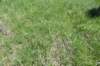 dsc_3796_fs_small.jpg