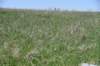 dsc_3798_fs_small.jpg