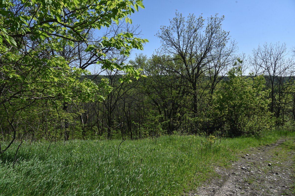 dsc_3907_fs.jpg