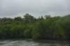 dsc_1971_fs_small.jpg