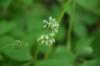 dsc_3951_fs_small.jpg