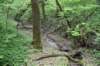 dsc_3968_fs_small.jpg