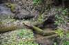 dsc_3969_fs_small.jpg