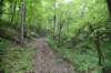 dsc_3970_fs_small.jpg