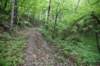 dsc_3971_fs_small.jpg