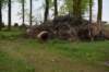dsc_3990_fs_small.jpg