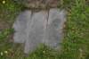 dsc_3994_fs_small.jpg