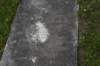 dsc_3997_fs_small.jpg