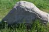 dsc_4196_fs_small.jpg
