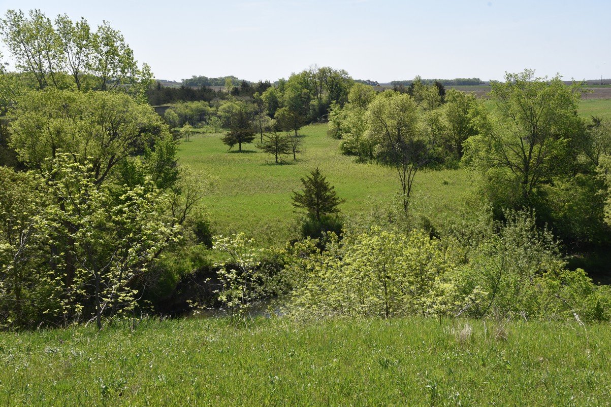 dsc_4209_fs.jpg
