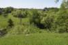 dsc_4210_fs_small.jpg