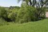 dsc_4211_fs_small.jpg