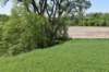 dsc_4212_fs_small.jpg