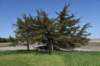 dsc_4217_fs_small.jpg