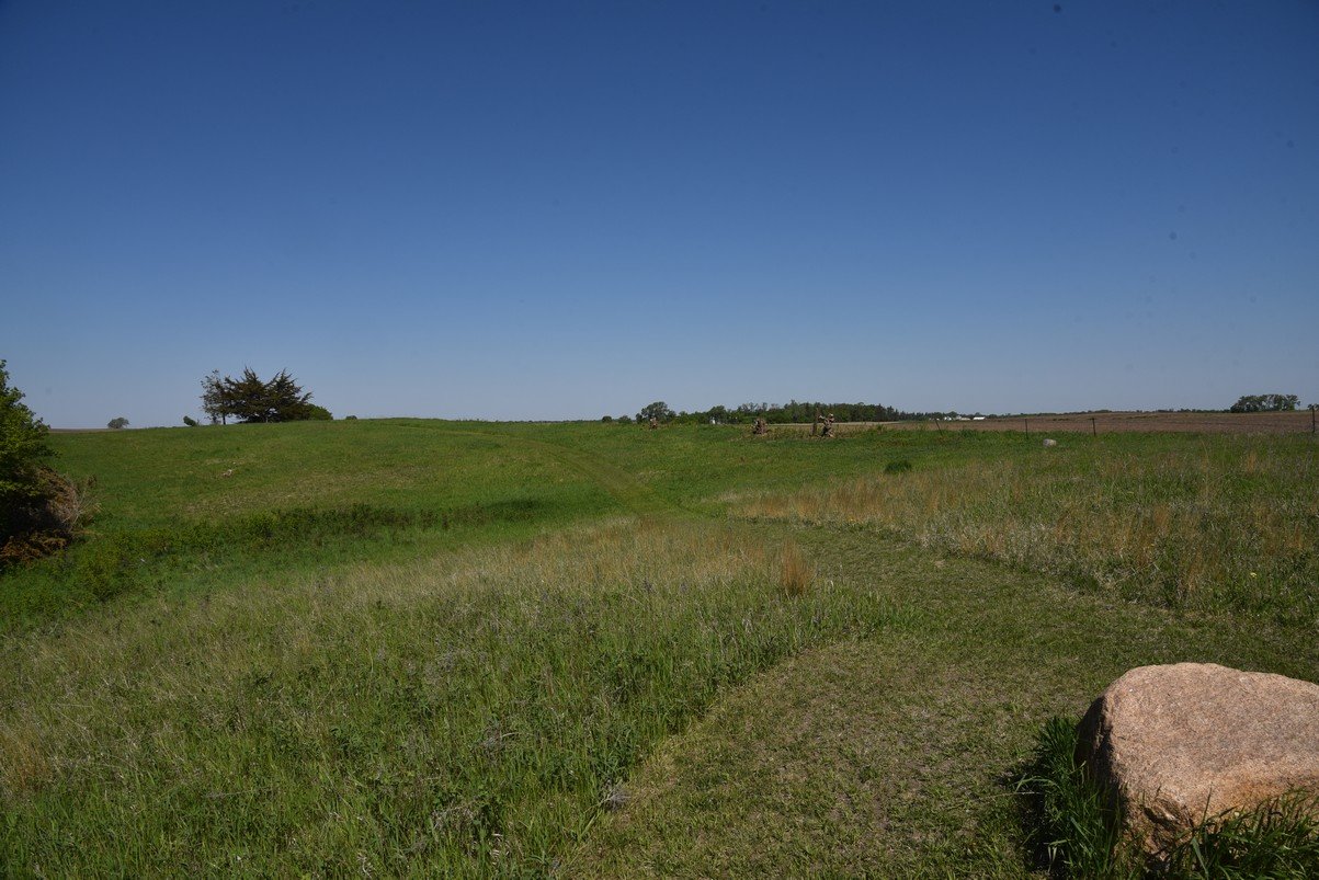 dsc_4228_fs.jpg