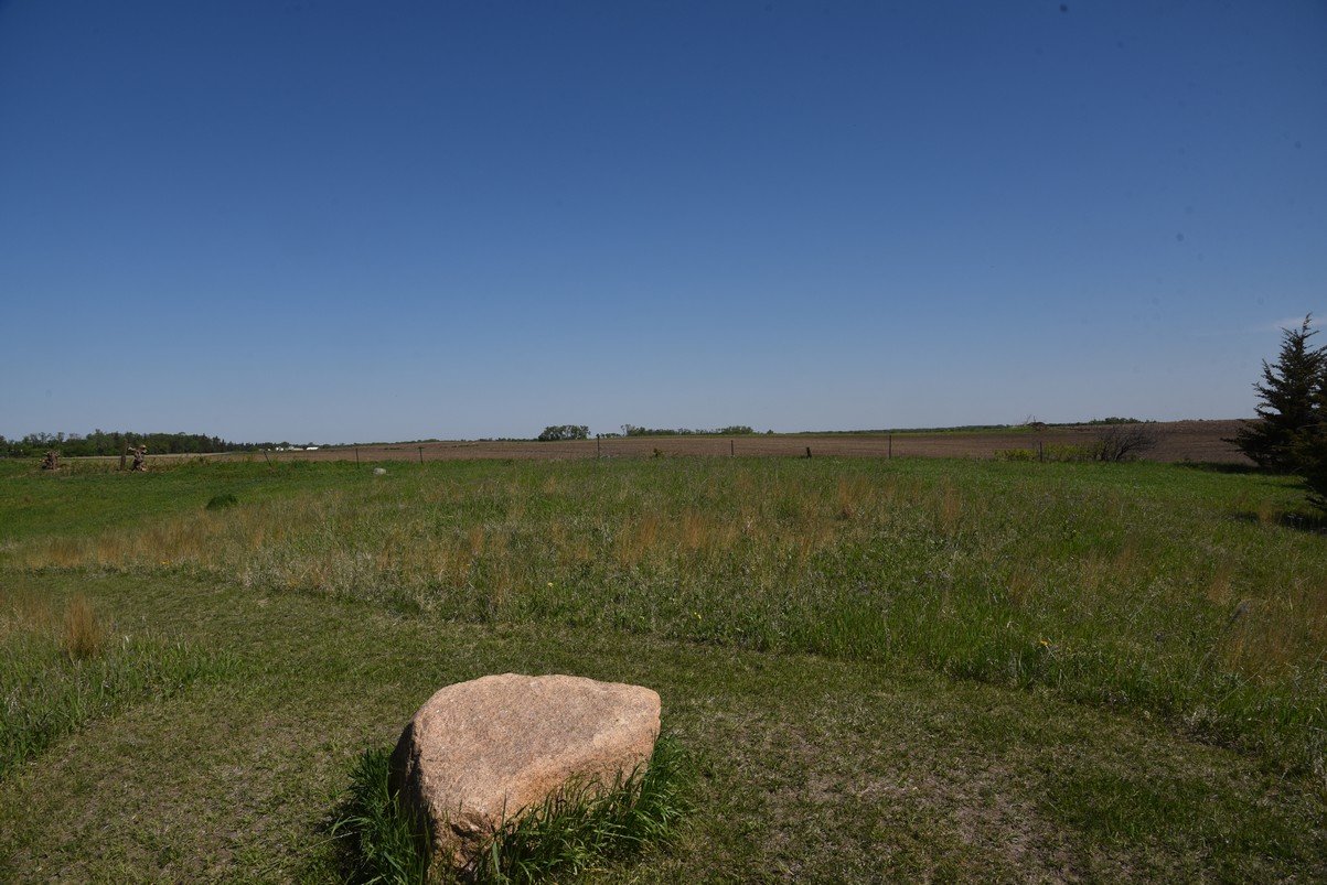 dsc_4230_fs.jpg