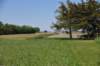 dsc_4250_fs_small.jpg