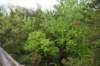 dsc_4573_fs_small.jpg
