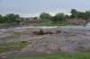 dsc_4594_fs_small.jpg