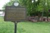 dsc_4598_fs_small.jpg