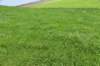 dsc_4656_fs_small.jpg