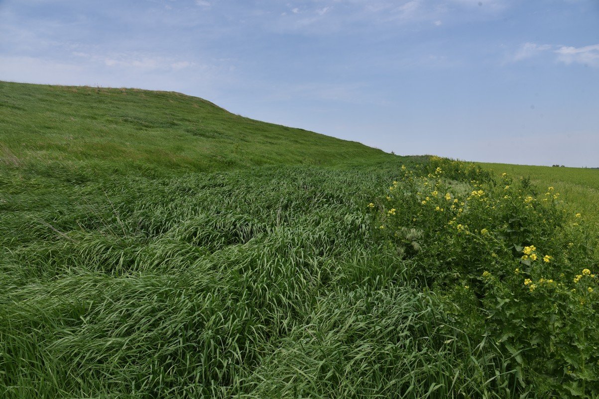 dsc_4657_fs.jpg