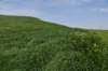 dsc_4657_fs_small.jpg