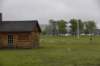 dsc_5338_fs_small.jpg
