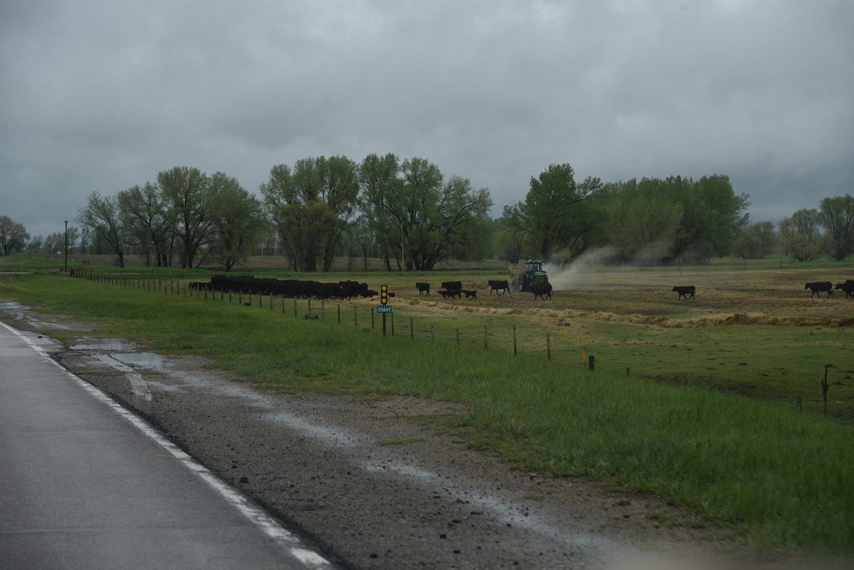 dsc_5359_fs.jpg