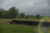 dsc_5360_fs_small.jpg