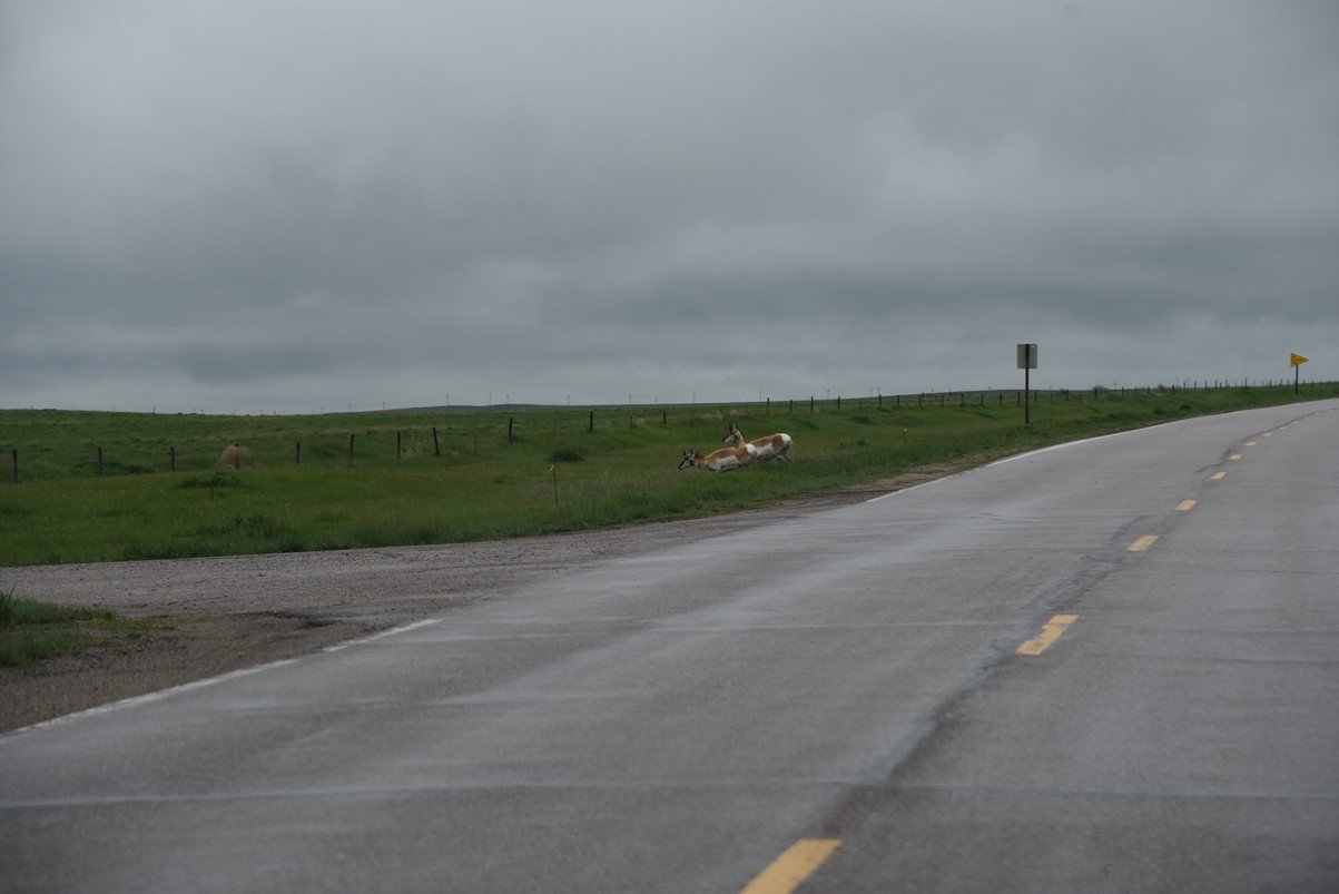dsc_5364_fs.jpg