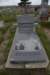 dsc_5444_fs_small.jpg