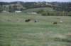 dsc_5487_fs_small.jpg