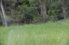 dsc_5576_fs_small.jpg