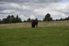 dsc_5598_fs_small.jpg