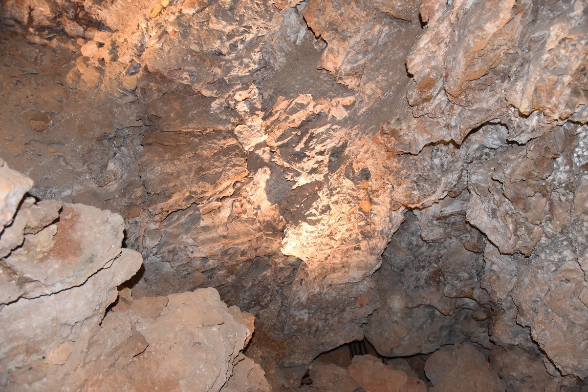 dsc_5652_fs.jpg