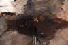 dsc_5661_fs_small.jpg