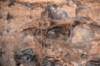 dsc_5663_fs_small.jpg