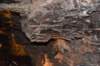 dsc_5664_fs_small.jpg