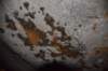 dsc_5667_fs_small.jpg