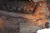 dsc_5668_fs_small.jpg